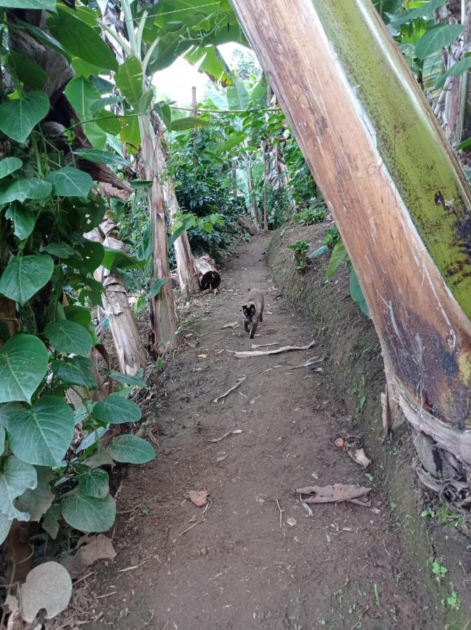 Alojamiento Rural Jardin Consentido Екстериор снимка