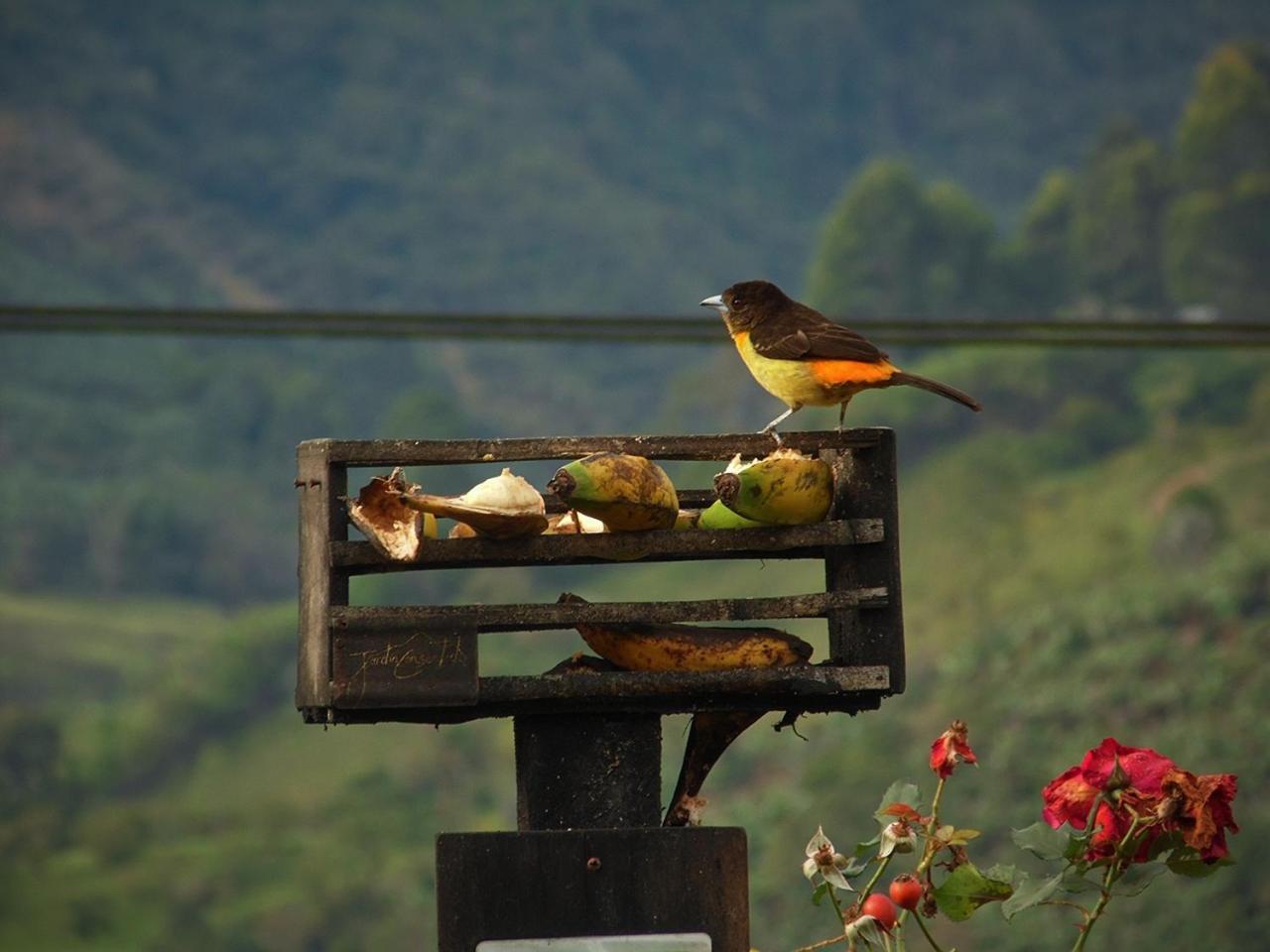 Alojamiento Rural Jardin Consentido Екстериор снимка