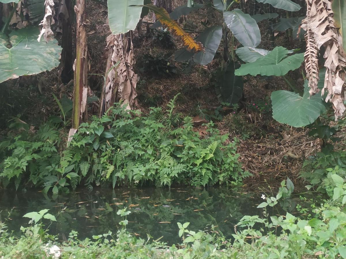 Alojamiento Rural Jardin Consentido Екстериор снимка